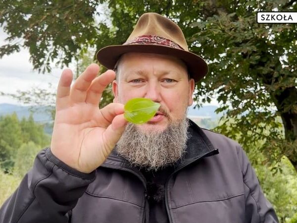 Instrumenty z lasu. Liść - Joszko Broda